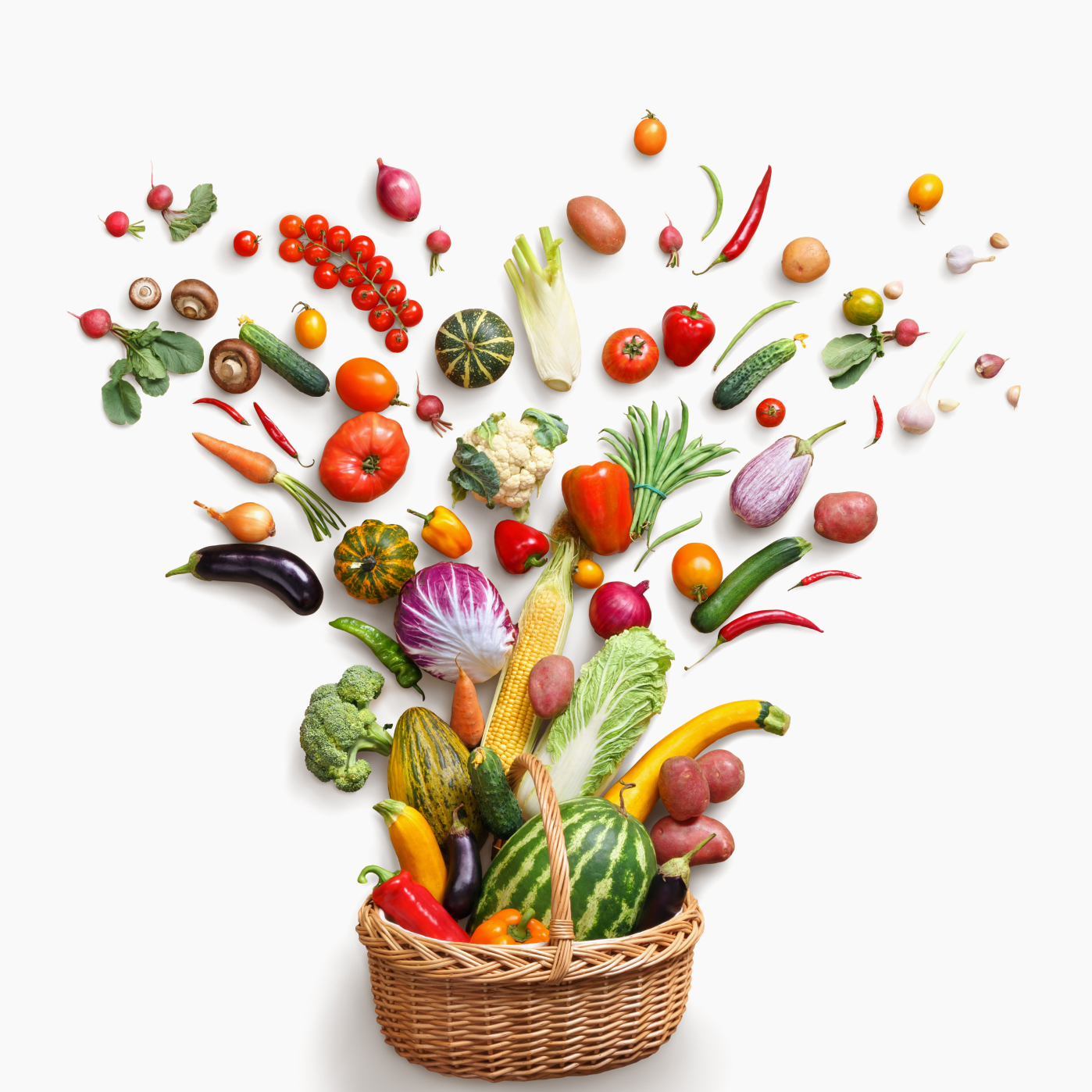 organic-slider3_pic.jpg